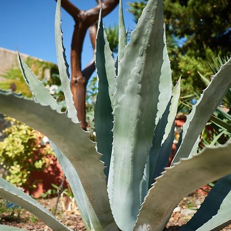 Jardin De Palme Apartman La Palme Kültér fotó