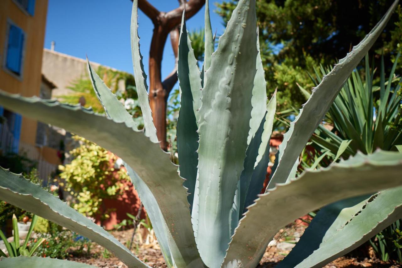 Jardin De Palme Apartman La Palme Kültér fotó