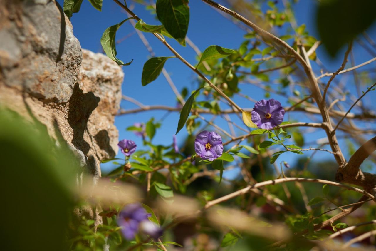 Jardin De Palme Apartman La Palme Kültér fotó